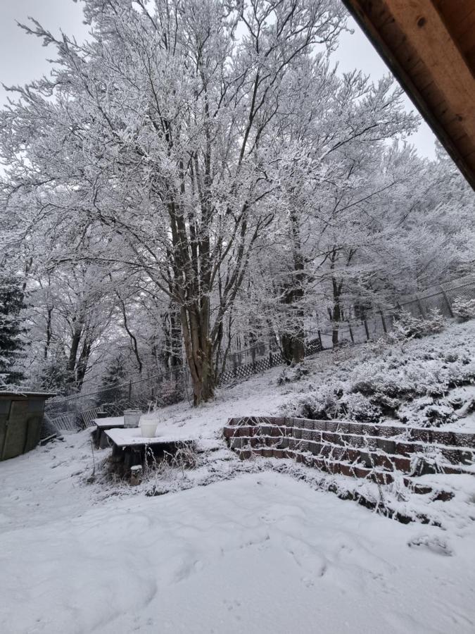 Ferienwohnung Schneeberg Stryck Exterior photo